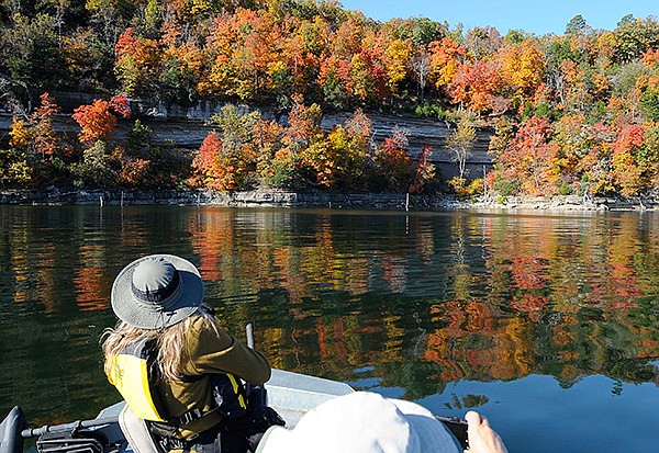     STAFF PHOTOS FLIP PUTTHOFF 
Joan Reynolds takes in dazzling autumn color during a birding trip Nov. 1 on Beaver Lake in the Rocky Branch area. The trip revealed several species of waterfowl on their fall migration as well as songbirds and raptors. November is a prime month for birding at all areas of the lake.
I SPY