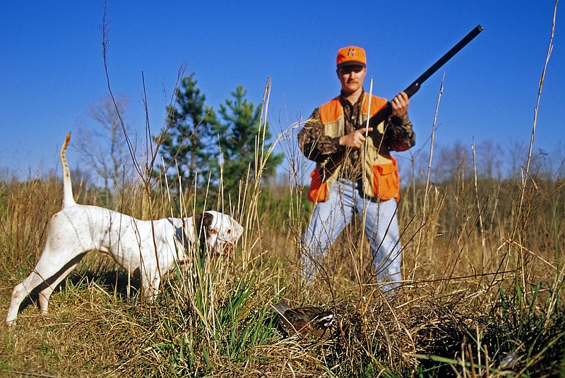 Tips can make an upland game hunter’s outing more fun, productive The