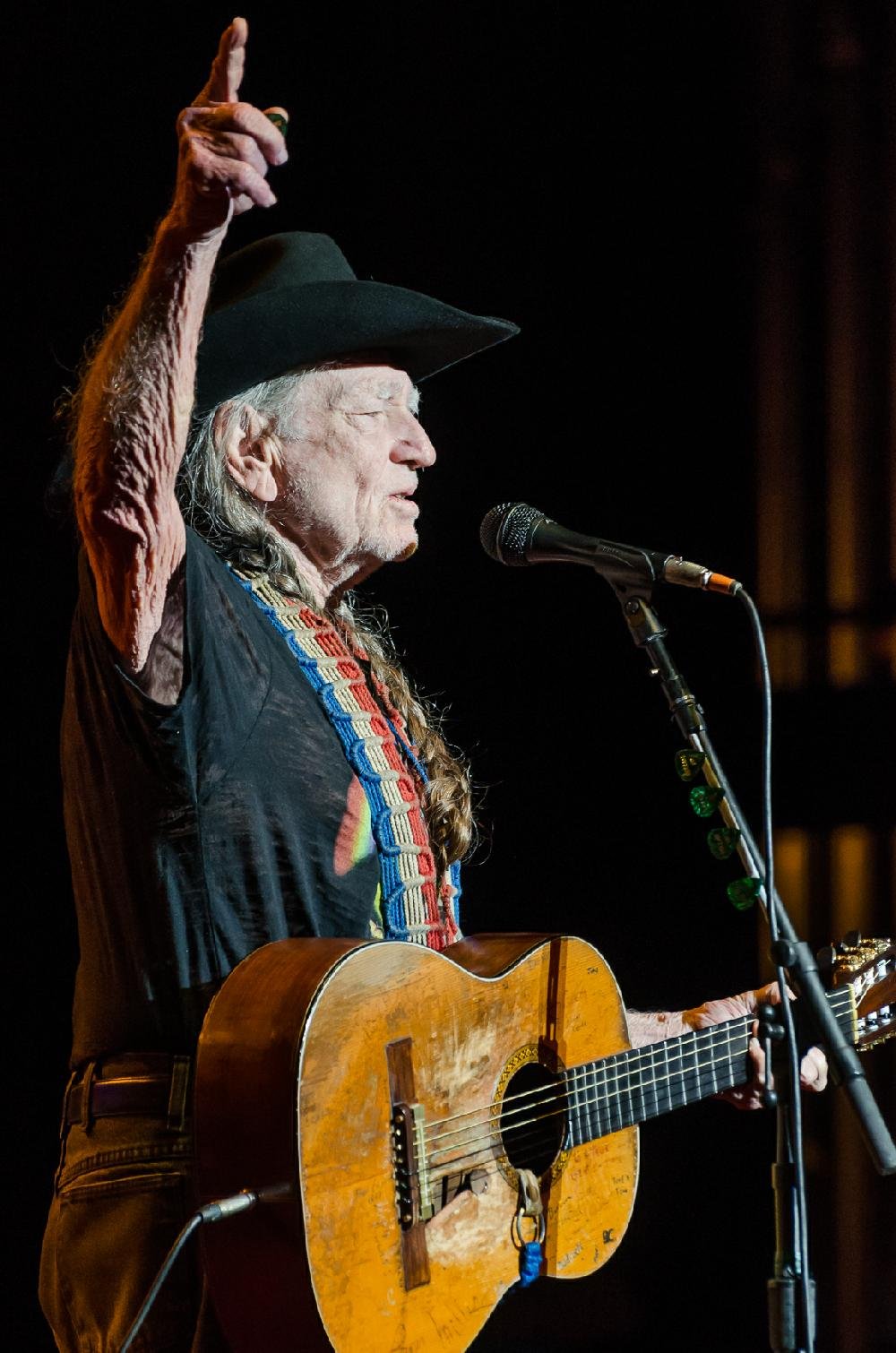 Willie Nelson Concert