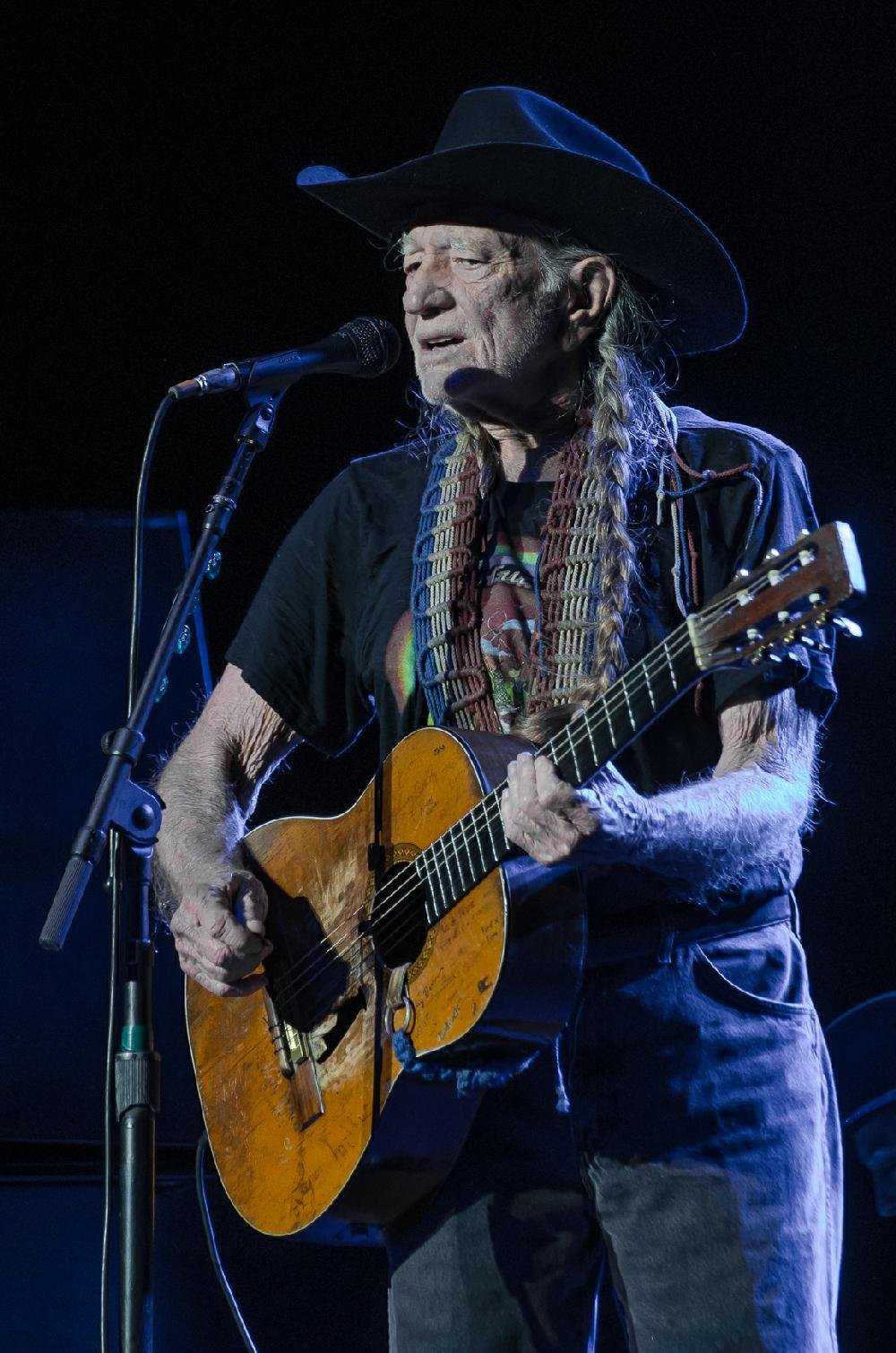 Willie Nelson Concert