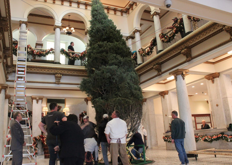 Workers maneuver a 28-foot tall White Fir into position Friday morning at the Capital Hotel.