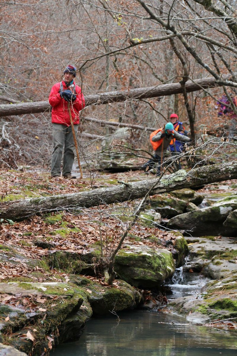 Special to the Democrat-Gazette/BOB ROBINSON
Bill Steward leans on his hand-cut persimmon staff as the rest of a small hiking party follows him along Mill Creek in the upper Hurricane Creek Wilderness Area during an overnight bushwhacking adventure in Newton County with the Ozark Society in November.