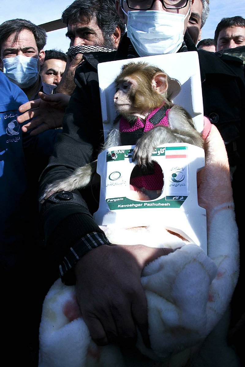 The monkey Fargam, or Auspicious, reached a height of about 72 miles in a small capsule launched by a liquid-fuel rocket. 