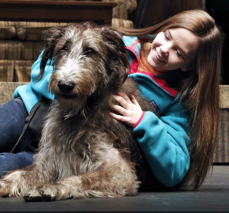 Actress Julia Nightingale Landfair plays with Cally, the Irish wolfhound that has the title role in Because of Winn Dixie, during a pre-performance rehearsal. 