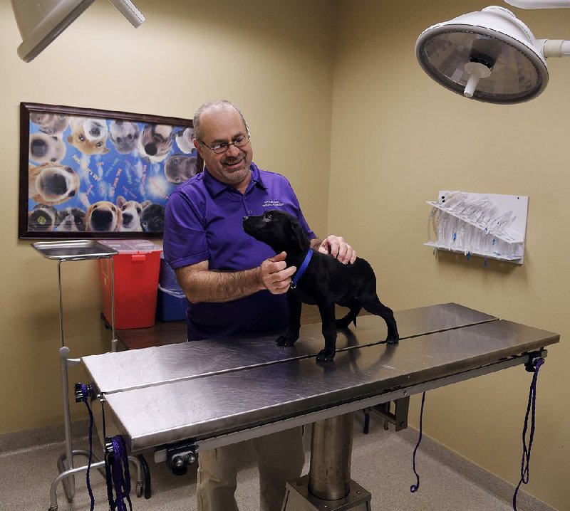 Arkansas Democrat-Gazette/JOHN SYKES JR. - Skip Lunders, animal services coordinator with LIttle Rock Animal Services, comforts an ailing puppy in the service's Animal Village operating room. 121313