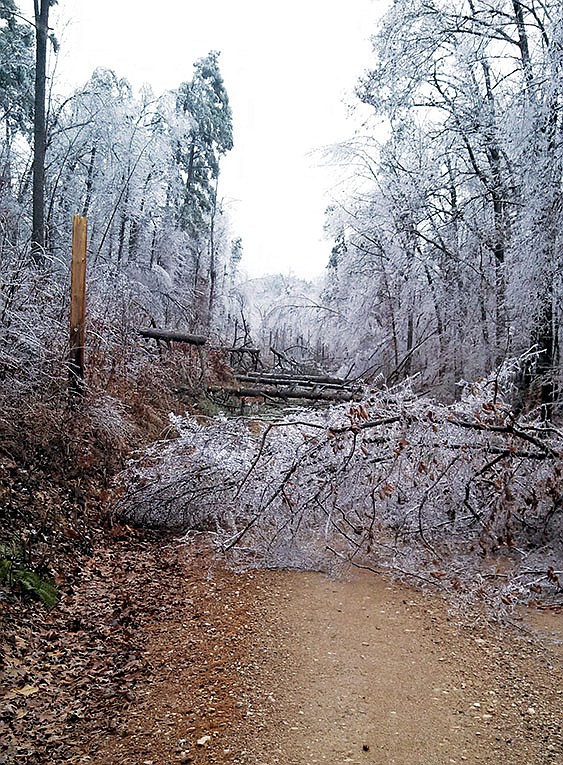 This is representative of the ice-storm damage the Arkansas Forestry Commission found in west-central Arkansas following the winter weather event of Dec. 5 and 6. Representatives of the Ouachita National Forest said the worst of the damage from freezing rain was well west of Hot Springs, the location of the office that oversees the national forest.