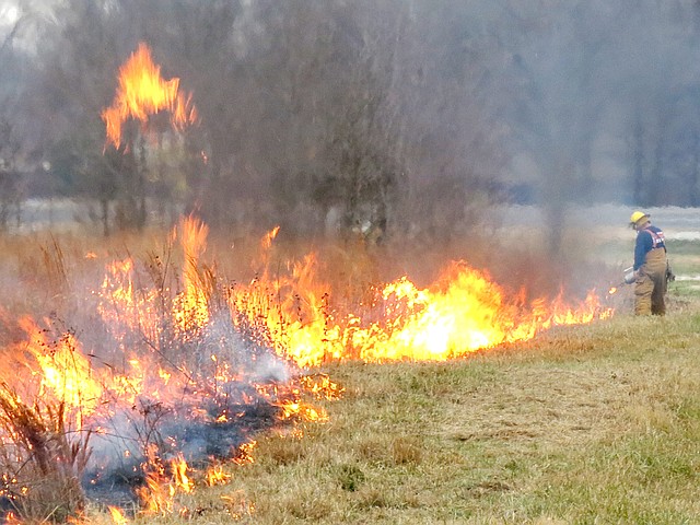 Photo by Randy Moll Gentry firefighters started a fire Thursday (Dec. 19) on the acres which have become known as Gentry Prairie. The purpose of the fire was to burn off the tall, dry prairie grass, reducing the fire hazard, so that new can grow back next spring. The burn was planned when south winds were blowing to keep the smoke away from the Cargill hatchery.