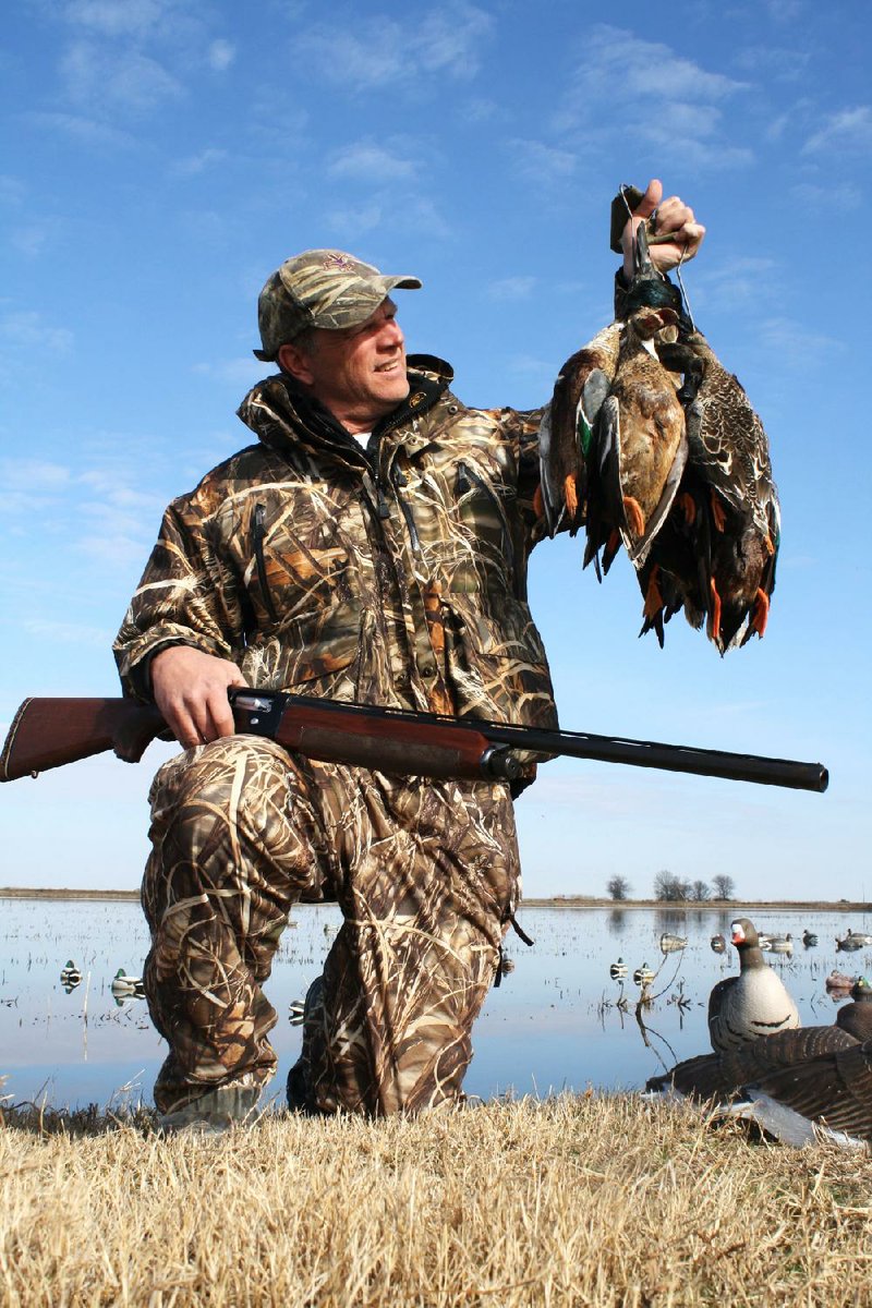 There are fewer ducks in Arkansas right now compared to recent years, but hunters like Tony Taylor of New Orleans are still enjoying good outings near Stuttgart and DeWitt. 