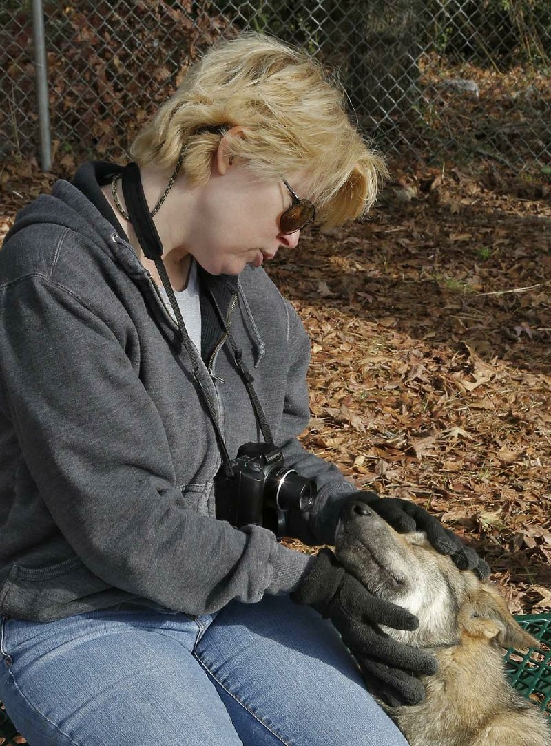 Missy Cowan, a volunteer with Little Rock Animal Services’ Animal Village, pets one of the canine residents. 