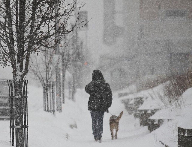 Mike Ashley of Muskegon, Mich., takes his dog, Riley, for a snowy walk Saturday. 