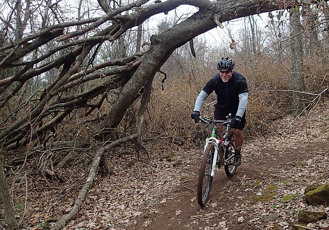 Steve Schneider of Springdale zips along the Mt. Sequoyah Woods trail in Fayetteville on Friday Dec. 20 2013. 