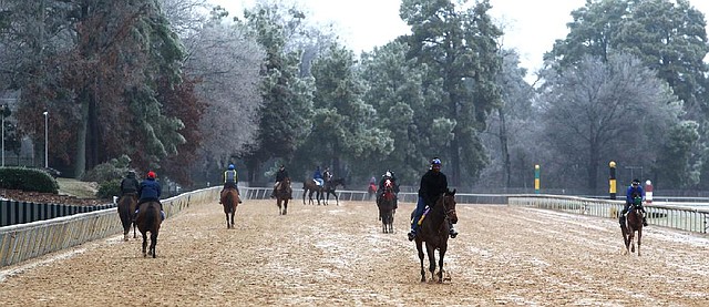 With ice covered trees in the background, horsemen train their horses across a sloppy racetrack Thursday, January 9, 2014, in preparation for the live race meet at Oaklawn Park which is scheduled to beging Friday. (The Sentinel-Record/Richard Rasmussen)