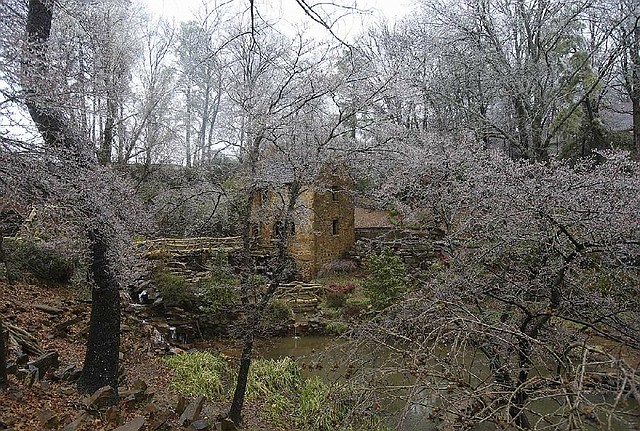  Arkansas Democrat-Gazette/STATON BREIDENTHAL --1/9/14-- Ice covers the trees Thursday morning as rain continues to fall at the Old Mill in North Little Rock. 