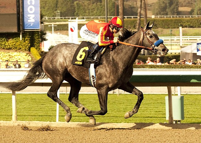 Midnight Hawk and jockey Mike Smith won the $100,000 Sham Stakes at Santa Anita on Saturday. The Sham Stakes is an early prep race on the road to the Kentucky Derby. Midnight Hawk ran a mile in 1:36.48 and paid $2.80 and $2.10 as the 2-5 favorite. 
