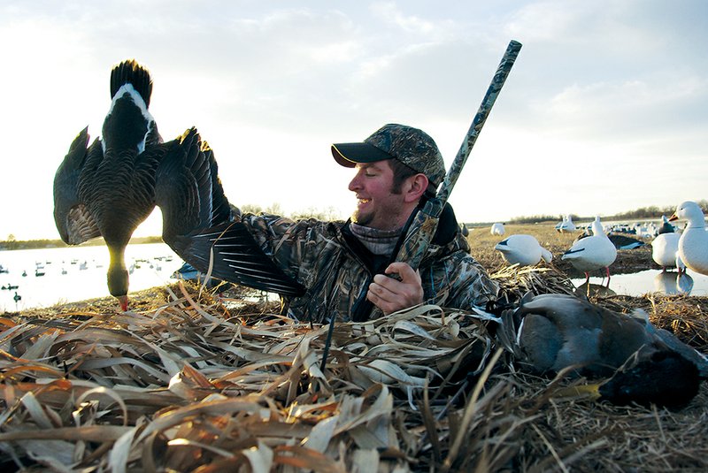 The result of hours of scouting, good calling and a proper decoy spread is a goose for the table. While the regular goose season ends at sunset today in Arkansas, still more goose hunting is possible in the near future during the Light Goose Conservation Order. For more information, visit www.agfc.com.