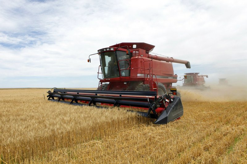 FIn this July 9, 2009, file photo three combines harvest the winter wheat on the Cooksey farm near Roggen, Colo. 