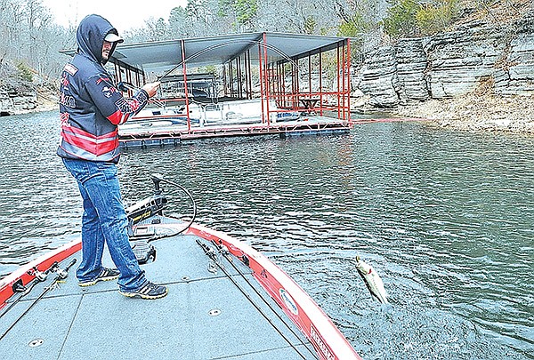 STAFF PHOTO FLIP PUTTHOFF 
Matt Pennington of Fayetteville wrangles a largemouth bass into his boat while fishing near a dock on Beaver Lake. Fishing near docks can be productive during winter, Pennington said. He prefers large baits and a slow presentation to get bass to strike in cold water.