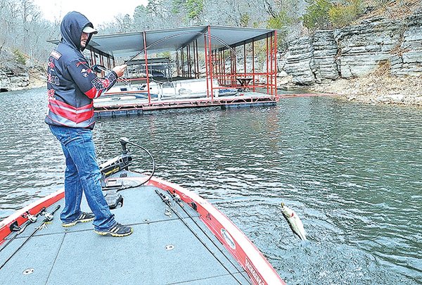 STAFF PHOTO FLIP PUTTHOFF 
Matt Pennington of Fayetteville wrangles a largemouth bass into his boat while fishing near a dock on Beaver Lake. Fishing near docks can be productive during winter, Pennington said. He prefers large baits and a slow presentation to get bass to strike in cold water.