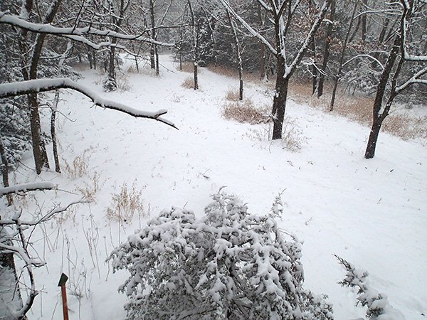 STAFF PHOTO FLIP PUTTHOFF 
A snowy view from the tree stand on Sunday made for a scenic February bowhunt. Archery deer season runs through Feb. 28 in Arkansas.