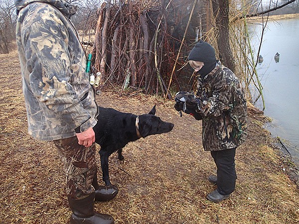 STAFF PHOTO FLIP PUTTHOFF 
Magnum, a Labrador retriever, shakes off water after retrieving a ringneck duck Matthew Shepard, 10, right, shot on Saturday during the statewide youth waterfowl hunt. Several dads and their sons took part in a duck hunt at a farm pond west of Bentonville. Only kids younger than 16 were allowed to shoot during the special waterfowl hunt.