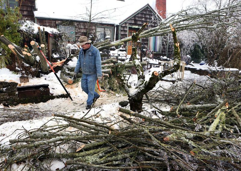 Damien Czech of Springfield, Ore. works to clear fallen tree limbs from in front of his home on 10th Street in Springfield as the snow and ice that brought havoc to the area begins to melt Sunday morning. Sunday, Feb. 9, 2014. (AP Photo/The Register-Guard, Chris PIetsch)
