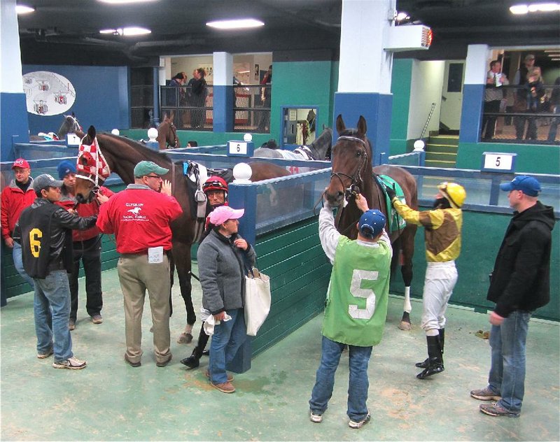 Before each Oaklawn Park race, fans can watch the horses being saddled and mounted in the paddock. 