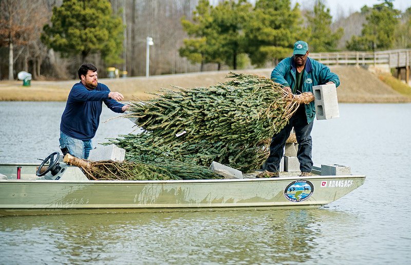 Ben Batten left, and Clint Coleman with the Arkansas Game and Fish Commission, toss Christmas trees weighted with cinder blocks into the Cabot Community Pond as part of a program for improving fish habitats.