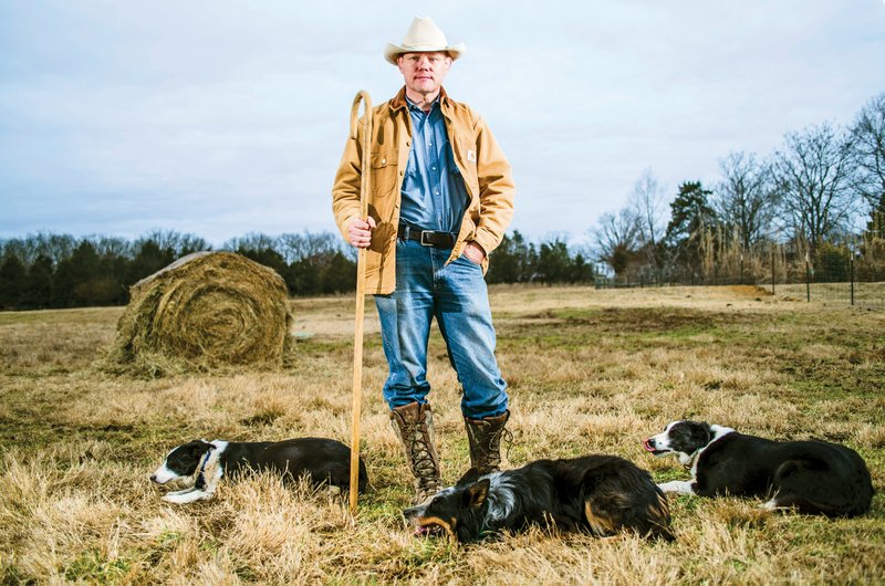 Martin Johnson of Judsonia trains all types of dogs, mainly border collies, to herd cattle. He said he starts them on sheep and gradually moves up to the larger livestock.
