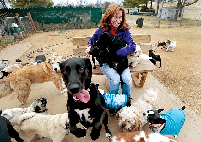 STAFF PHOTOS JASON IVESTER 
Dog Party USA owner Chaddie Kumpe Platt sits on down in one of the outdoor play areas and is immediately surrounded by “clients” at the doggie daycare.