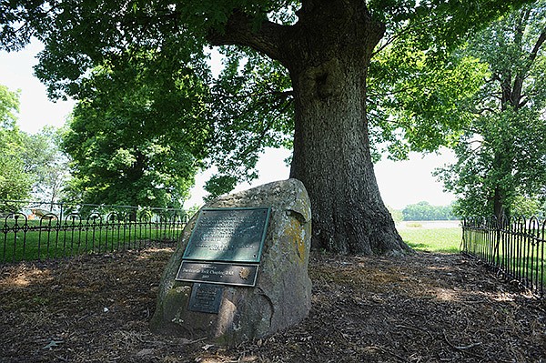 COURTESY ARKANSAS PARKS & TOURISM 
One of the best known historic trees in the state is the Council Oak in Dardanelle, which is believed to be the site of a treaty between the Cherokee Nation and the territory of Arkansas in 1823.