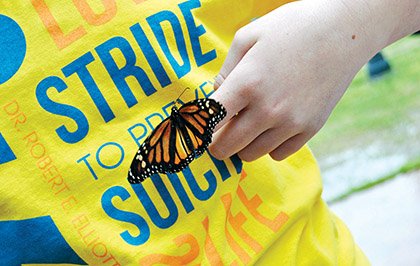A butterfly release is held each year at the Stride to Prevent Suicide in Searcy. The butterflies represent those who have lost their lives because of suicide.
