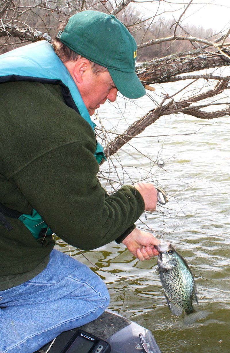 Bill Eldridge of Benton has been catching crappie like this and bigger this week with yo-yos at Lake Ouachita. 