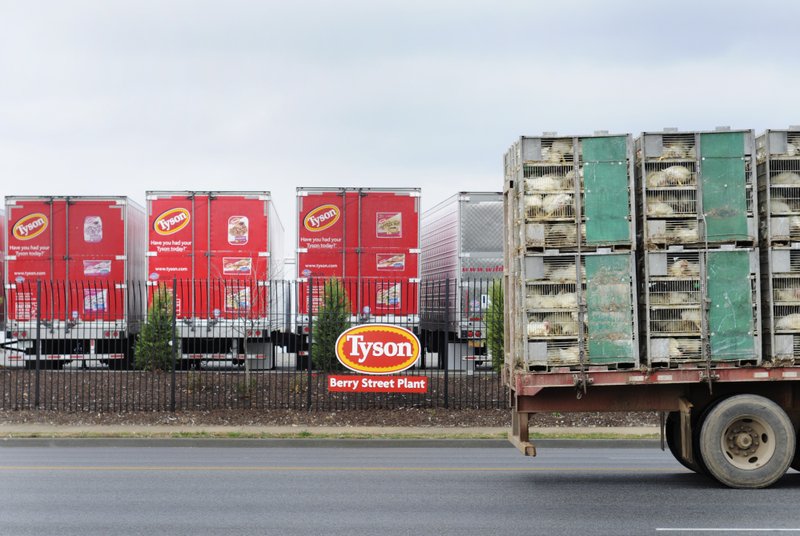 FILE PHOTO &#8212; A chicken truck pulls into the Tyson Berry Street Plant in Springdale. The company reported a record profit of $254 million in the first quarter of fiscal 2014.