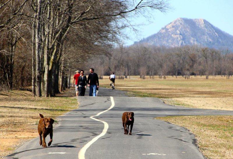 Walkers and bikers enjoy a warm February afternoon on the 2.75-mile hike around Two Rivers Park's western loop. Pinnacle Mountain looms in the distance,wo dogs also enjoy the hike despite the warning signs there's a $25 to $500 fine for running off-leash.Arkansas Democrat-Gazette/MICHAEL STOREY



Arkansas Democrat-Gazette/MICHAEL STOREY