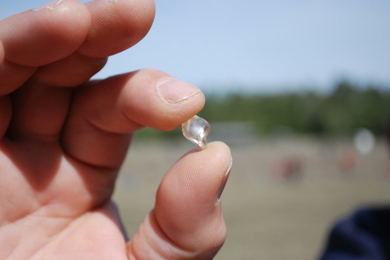 David Anderson of Murfreesboro holds the 6.19-carat diamond he found at the Crater of Diamonds State Park on Tuesday.