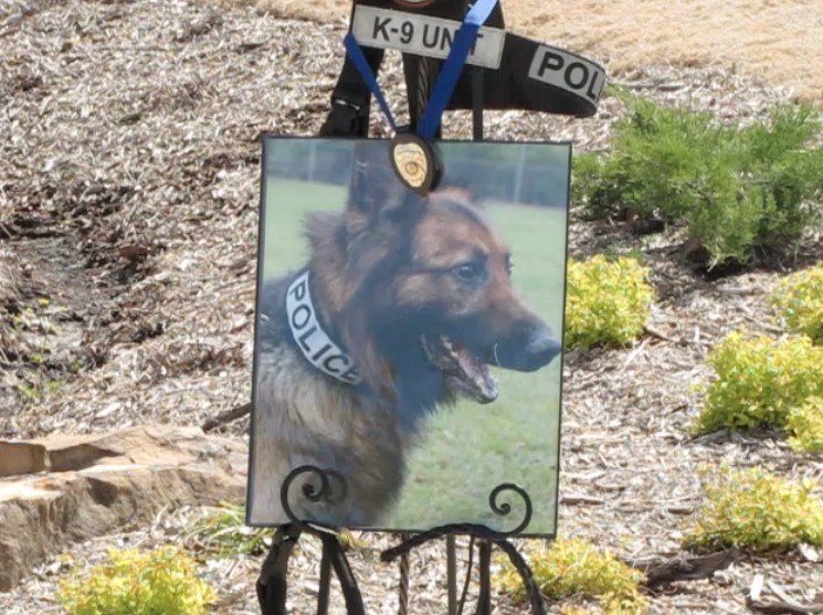 A memorial pays tribute to Chewy, a Little Rock Police Department K9 officer who died last month.