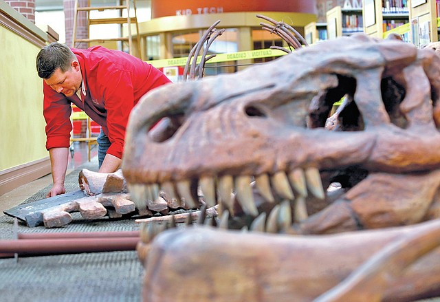 STAFF PHOTO JASON IVESTER Annett takes apart the dinosaur skeleton model.