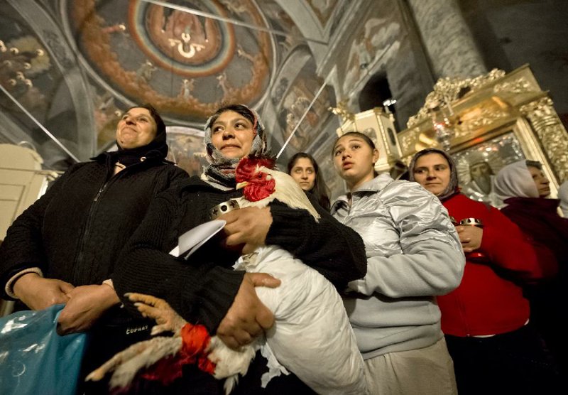 A woman holds a rooster during the Easter religious service at the Pasarea Monastery outside Bucharest, Romania, early Sunday, April 20, 2014. Romanians in rural areas bring farm animals to be blessed in church after the Easter service to protect them from disease in the coming year.(AP Photo/Andreea Alexandru, Mediafax) ROMANIA OUT