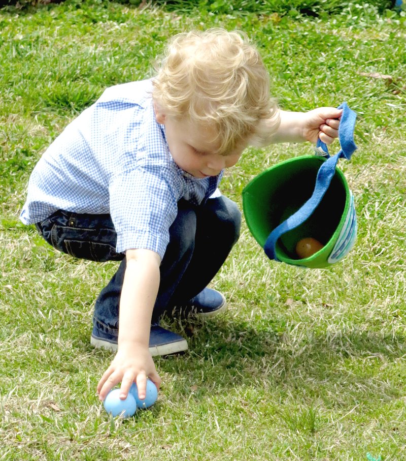 Photo by Randy Moll A young child picks up eggs during the Chamber of Commerce Easter egg hunt in Gentry City Park on Saturday. For more photos of Easter Egg Hunts, see Page 5B.