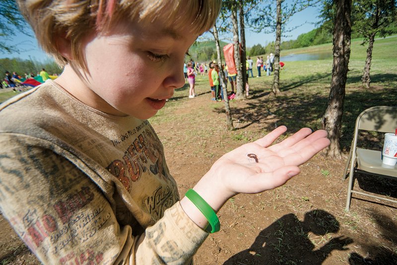 Mara McGowan, a fourth-grade student at Sulphur Rock Magnet School, gets a close-up look at an earthworm.