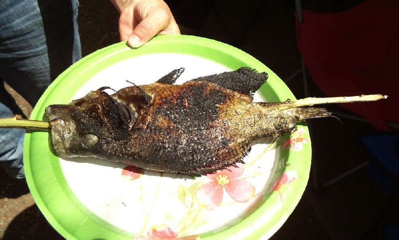 Roasting a whole crappie over a campfire on a stick is an unusual, but easy way to enjoy these tasty panfish. 