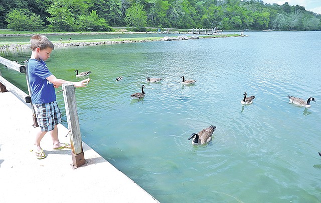 STAFF PHOTO Michael Woods &#8226; @NWAMICHAELW Easton Girty, 8, from Pea Ridge, tosses pieces of bread to the ducks Sunday from the area where the old paddle boat dock used to be on Lake Atalanta in Rogers. Easton and his family said they like to visit the popular Rogers park and they hope the city works quickly to develop the park with new features.