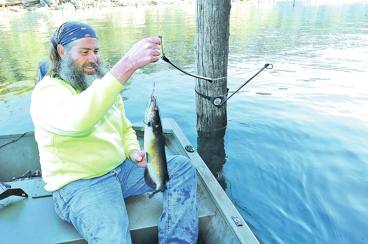 bamboo rod or carbon fly fishing RE-THINKING THE ULTIMATE SMALL STREAM FLY ROD