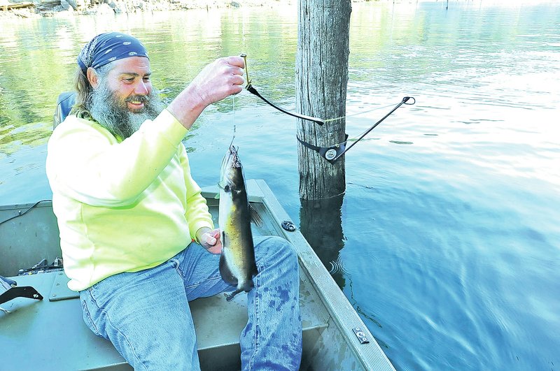 STAFF PHOTO FLIP PUTTHOFF FISHING FOR OLE WHISKERS Steve Green brings a channel catfish aboard while running his fishing lines the morning of April 25 2014 at Beaver Lake. Green is the maker of Topcat fishing devices that attach to trees. The technique is similar to limb-lining, but allows Green to utilize trees that don&#8217;t have limbs.