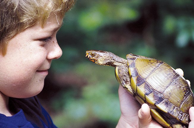 Keith Sutton’s son Zach is eye to eye with a box turtle. Children who experience nature up-close like this will spend more time outdoors and less time playing video games and watching TV.