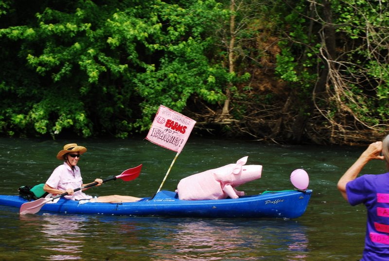 Photo by Steve Smith Lin Wellford makes her opinions known during a &#8220;Raise Your Paddle For The Buffalo&#8221; float trip May 24. The even was designed to raise awareness of the issues surrounding development of a hog farm near the national river.