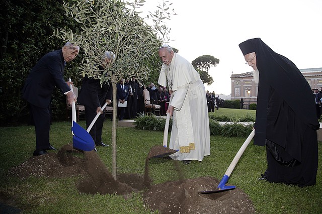 Pope Francis plants an olive tree with Israel's President Shimon Peres, left, Palestinian President Mahmoud Abbas, second from left, and Ecumenical Patriarch Bartholomew I, right, in a sign of peace during an evening of peace prayers in the Vatican gardens, Sunday, June 8, 2014. Pope Francis waded head-first into Mideast peace-making Sunday, welcoming the Israeli and Palestinian presidents to the Vatican for an evening of peace prayers just weeks after the last round of U.S.-sponsored negotiations collapsed. 