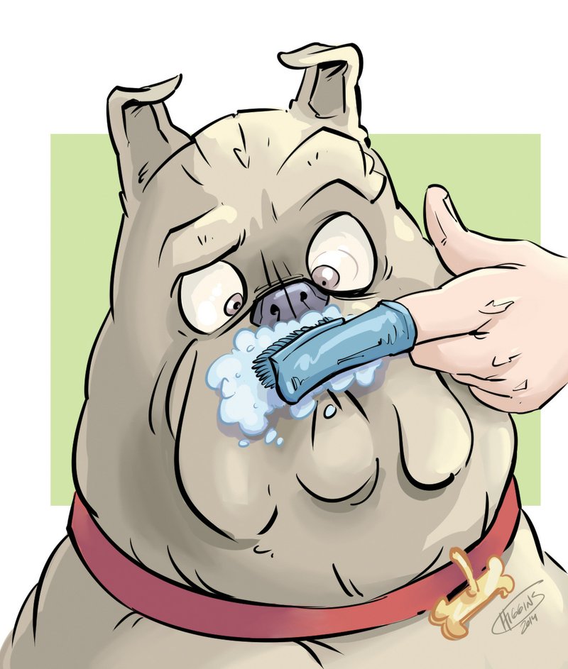 Brushing your dog's teeth illustration 