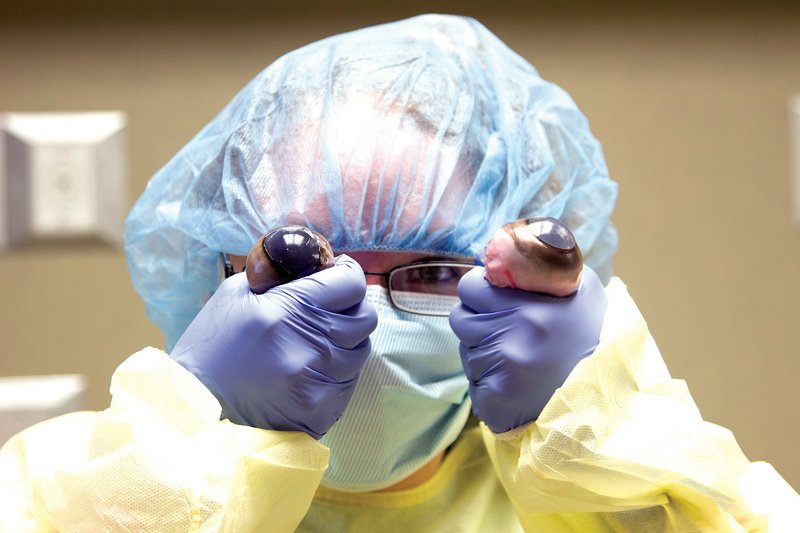 Tailor Spann of Judsonia holds up two cow’s eyes before a dissection lesson at M*A*S*H — Medical Application of Science for Health — at White County Medical Center in Searcy.