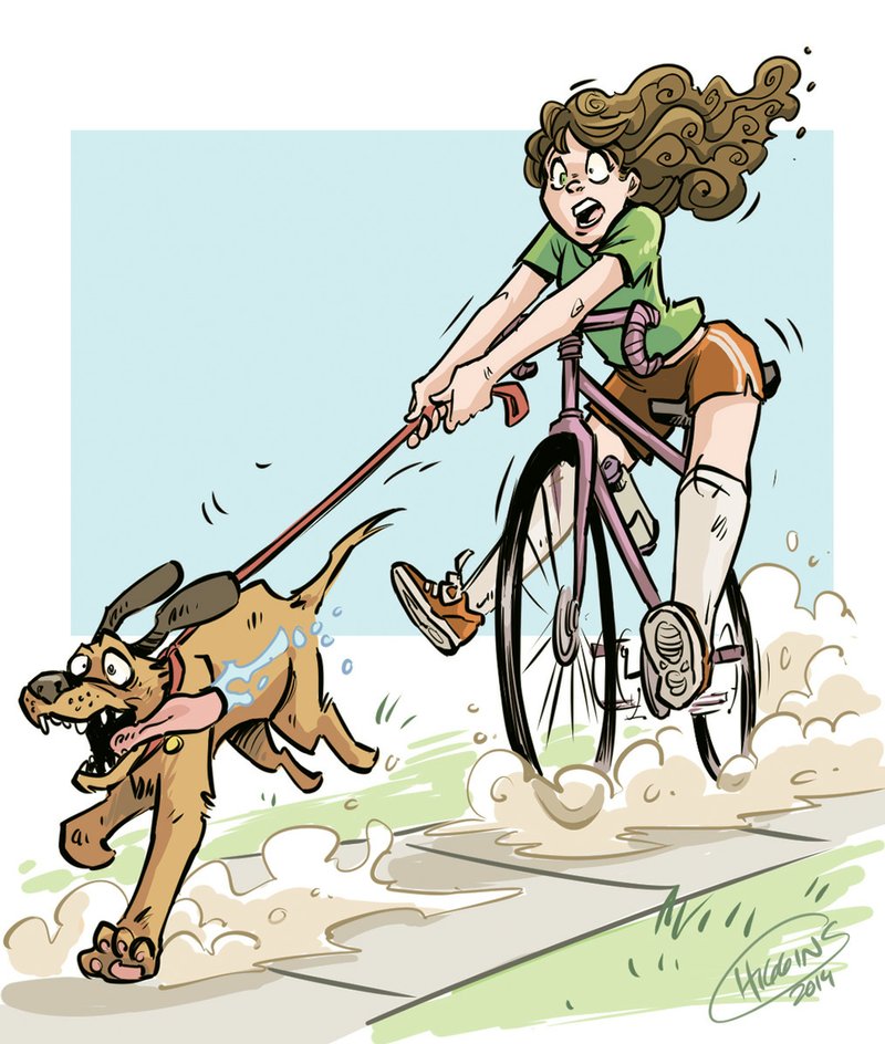 Bike riding with your dog 